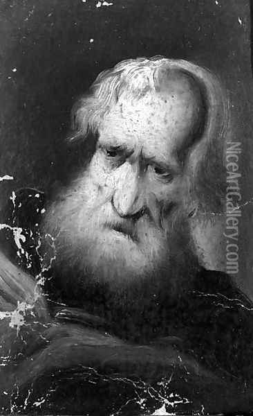 Portrait of an old bearded man Oil Painting - Christian Wilhelm Dietrich, Called Dietricy