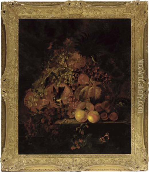 Grapes, Pumpkins, Pears, Plums And Berries With Song Birds, On A Stone Ledge Oil Painting - Jan Van Huysum