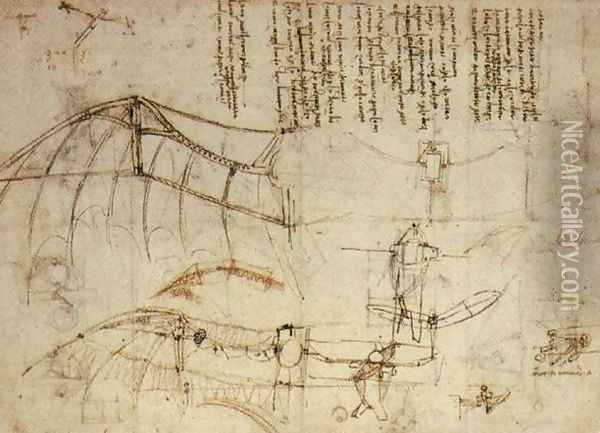 fly Oil Painting - Leonardo Da Vinci