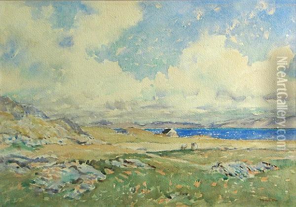 Across The Sound, Iona Oil Painting - Stewart Orr