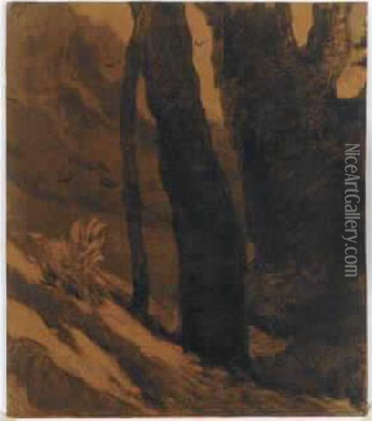 Les Arbres, Vers 1865-1870 Oil Painting - Odilon Redon