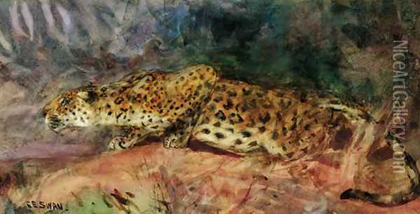 Stalking Leopard Oil Painting - Cuthbert Edmund Swan