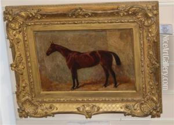 Horse In A Stable Oil Painting - Frank Paton