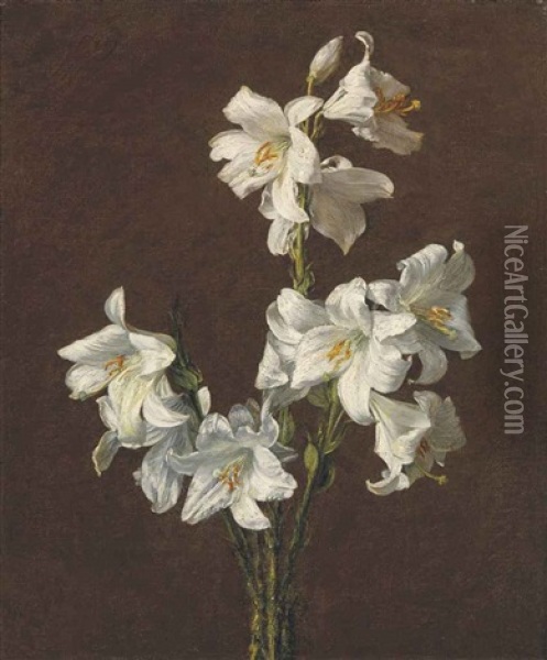 Branche De Lis Sans Vase Oil Painting - Henri Fantin-Latour