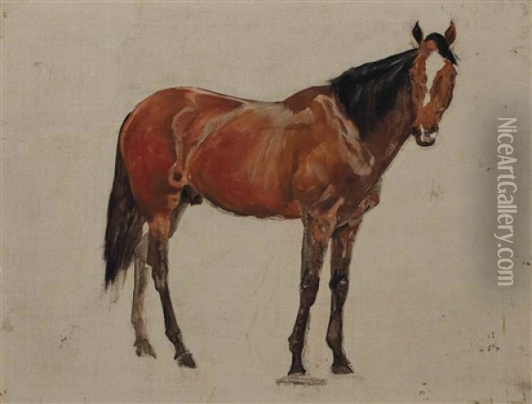 Sketch Of A Dark Bay Horse; And Sketches Of A Bay Horse; A Chestnut Horse; And A Dark Brown Horse Oil Painting - James Lynwood Palmer