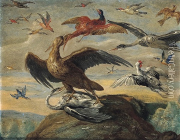 Ein Adler, Zwei Reiher, Ein Fasan, Ein Falke Und Andere Vogel In Einer Gebirgigen Landschaft Oil Painting - Jan van Kessel the Elder