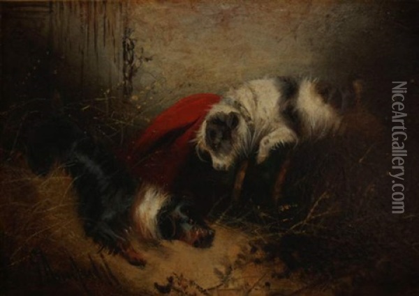 Zwei Gute Freunde, Zwei Spielende Terrier Oil Painting - George Armfield