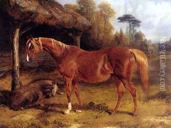 Mare And Foal By A Shed Oil Painting - John Frederick Herring Snr