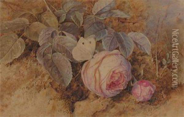 Still Life Of Roses On A Mossy Bank Oil Painting - Mary Elizabeth Duffield