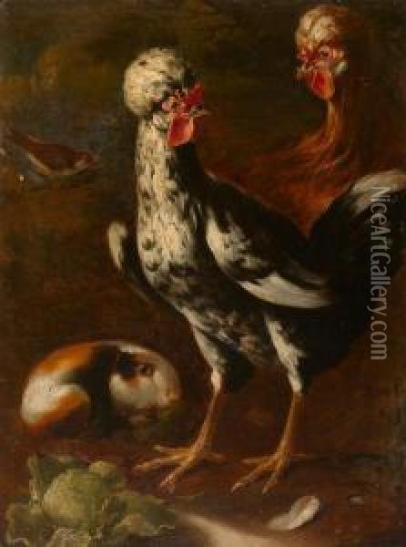 Chickens And Guinea Pig Oil Painting - Giovanni Agostino Cassana