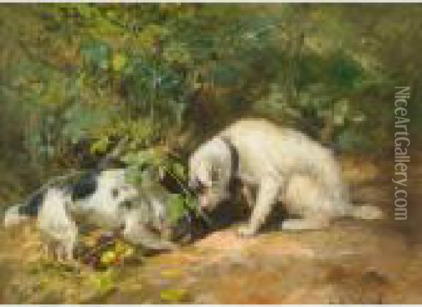 Terriers On The Hunt Oil Painting - Cuthbert Edmund Swan