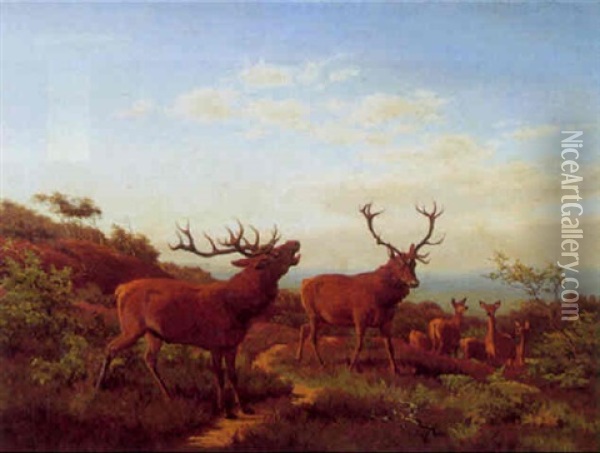 Kronvildt I Lyngbakker Oil Painting - Carl Henrik Bogh