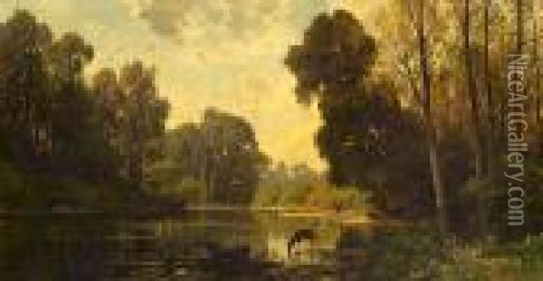 A Tranquil Wooded Scene With Deer Drinking From A Pond Oil Painting - Hermann David Salomon Corrodi