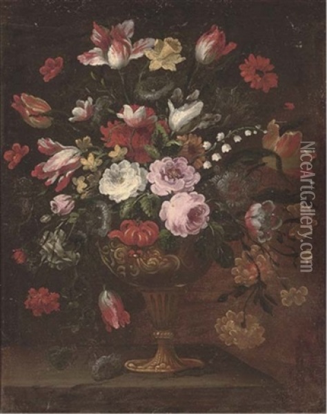 Parrot Tulips, Roses, Narcissi And Other Flowers In An Urn On A Ledge Oil Painting - Mario Nuzzi