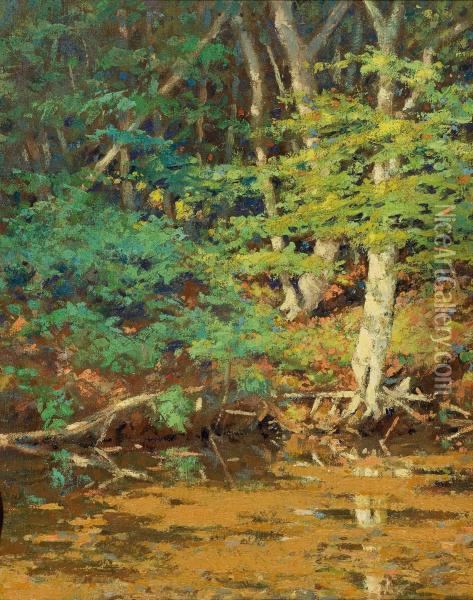 On The Swift River, Tamworth, Nh Oil Painting - William Johnson Bixbee