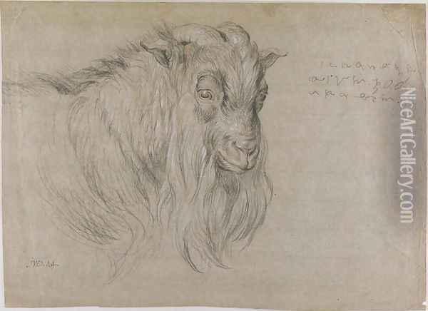 Study of the Head of a Ram Oil Painting - James Ward