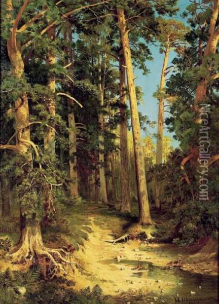 Forest Scene Oil Painting - Ivan Shishkin