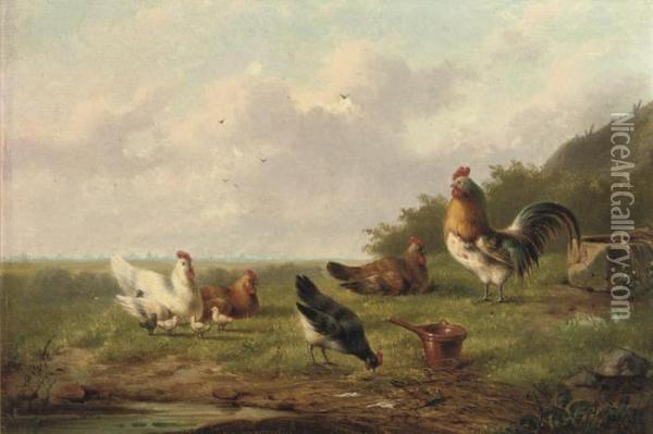 Chickens And A Rooster In A Meadow Oil Painting - Franz van Severdonck