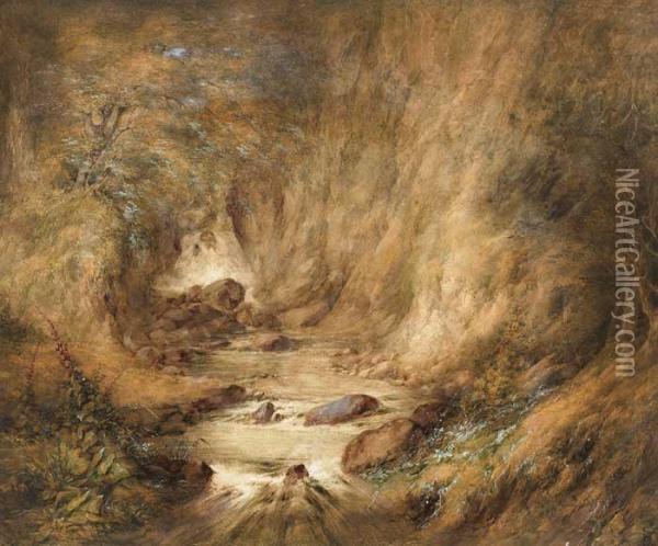 Forest Glade With Waterfall Oil Painting - Edwin Hayes