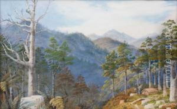 Logging Kauri On The Coromandel Oil Painting - Alfred Sharpe