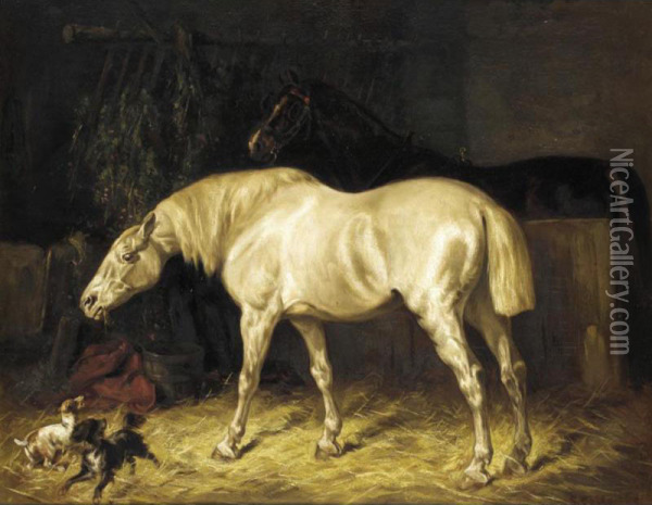 Playtime In The Stable Oil Painting - Gustaaf Colsoulle