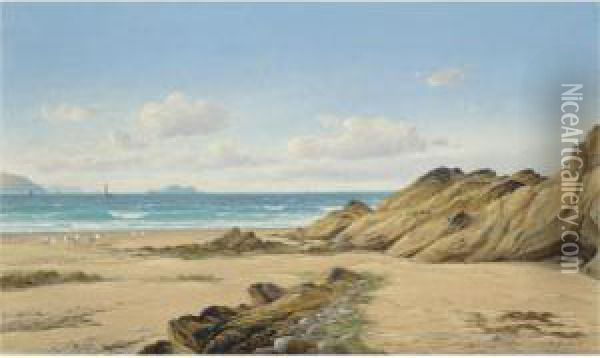 A Summer Day, Pembrokeshire Coast Oil Painting - David James