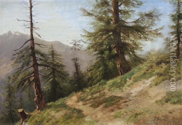 Wanderweg Mit Nadelbaumen Vor Gebirgskette Oil Painting - Jules Jequier