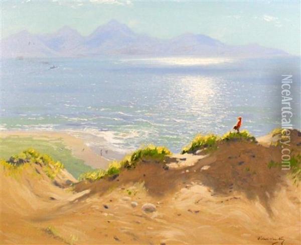 Isle Of Arran From The Dunes At Troun Oil Painting - Robert Houston