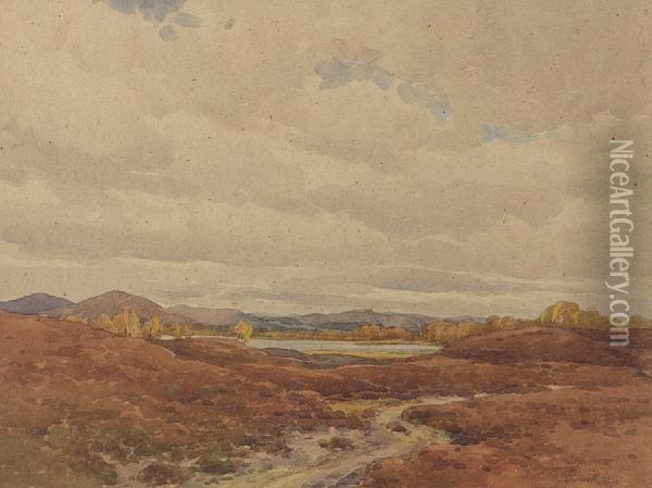 The Hills Of Assynt Oil Painting - Samuel Pop