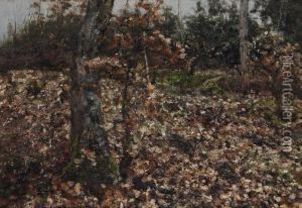 Autumn Forest Oil Painting - Jan Adam Zandleven