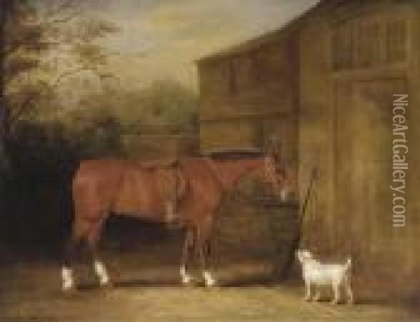 A Bay Hunter And A Dog Outside A Stable Oil Painting - John Snr Ferneley