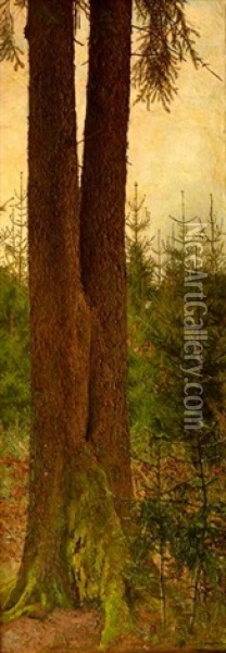 Nahaufnahme Zweier Nadelbaume In Einem Forst Oil Painting - Josefa Pernstich
