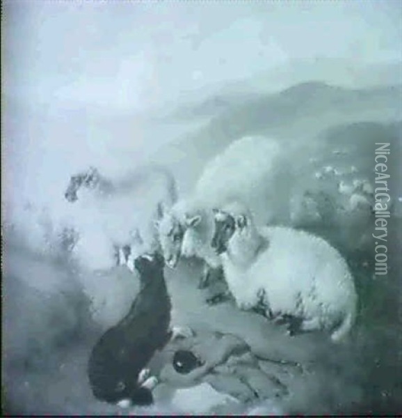 Drei Schafe Und Ein Hirtenhund In Hugeliger Landschaft Oil Painting - George William Horlor