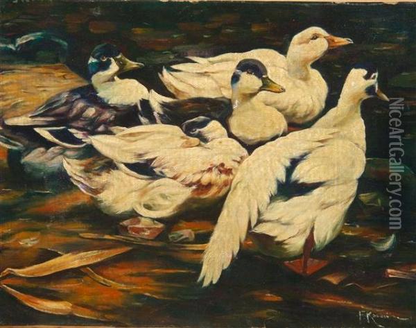 Muskovy Ducks Wading In A Pool Oil Painting - Alexander Max Koester