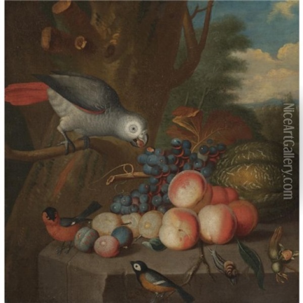 A Still Life With A Parrot And Other Birds, Grapes, Plums, A Watermelon, Peaches And A Snail On A Stone Ledge Oil Painting - Jakob Bogdani
