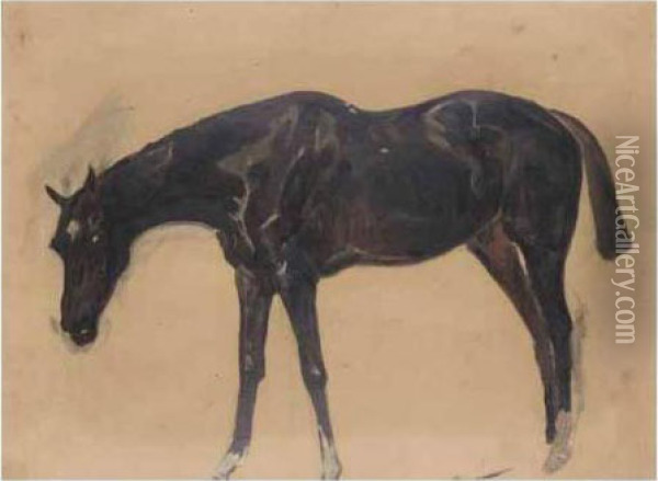 A Dark Brown Horse Oil Painting - James Lynwood Palmer
