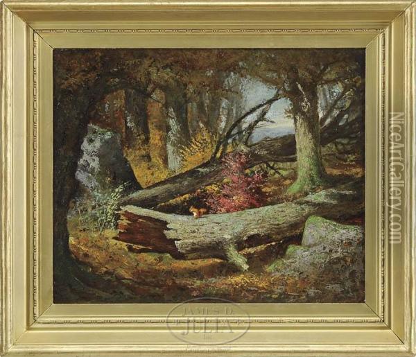 A Squirrel's World Oil Painting - Frederick Stone Batcheller