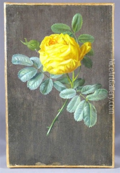 Rose Oil Painting - Moise Jacobber