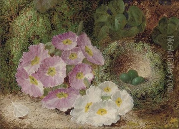 A Bird's Nest And Eggs With Flowers On A Mossy Bank (+  Grapes, Plums And Raspberries On A Mossy Bank; Pair) Oil Painting - Oliver Clare