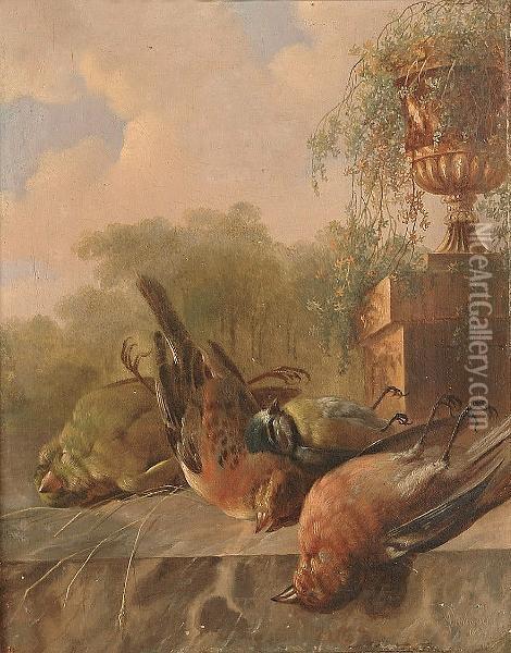 Still Life Of Birds, With An Urn In The Background. Oil Painting - Albertus Verhoesen