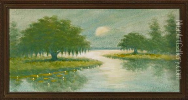 Moonlight On Bayou Oil Painting - Alexander John Drysdale