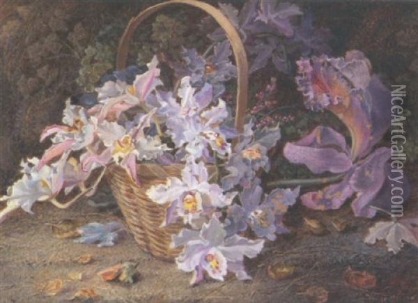 Still Life Of Orchids In A Basket Oil Painting - Vincent Clare
