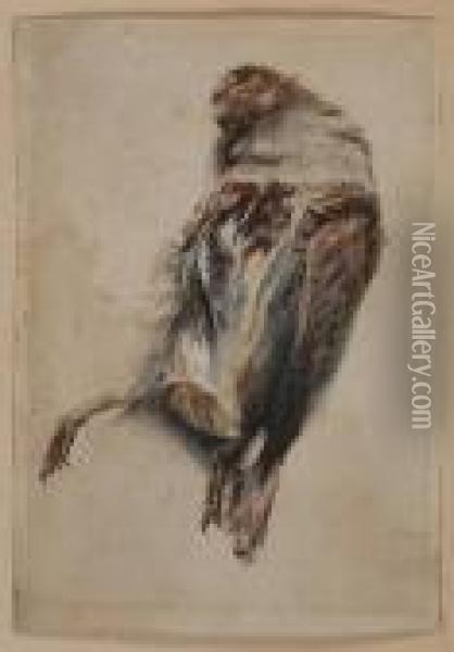 Partridge Oil Painting - Edouard Travies