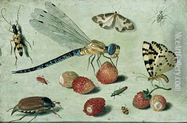 Study of Insects Butterflies and Flowers Oil Painting - Jan van Kessel