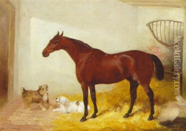 A Bay Hunter With Two Terriers In A Loose Box Oil Painting - Charles Hancock