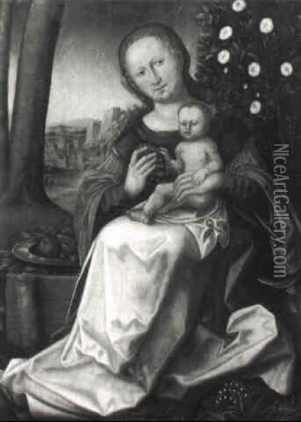 Die Madonna Mit Der Taube Oil Painting - Lucas Cranach the Elder