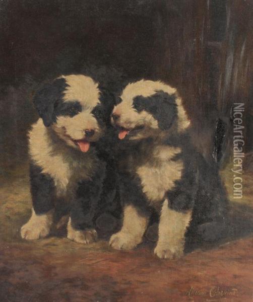 Old English Sheepdog Puppies Oil Painting - Lilian Cheviot