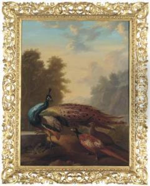 A Peacock And Pheasants In A Rocky Wooded Landscape Oil Painting - Marmaduke Cradock