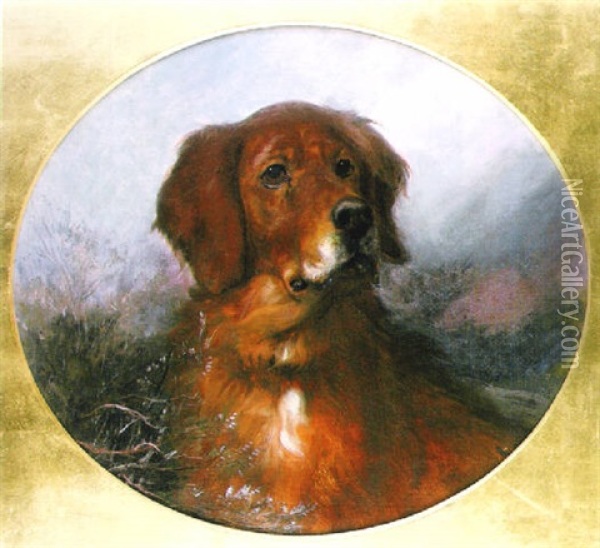 A Red Setter Oil Painting - George Earl