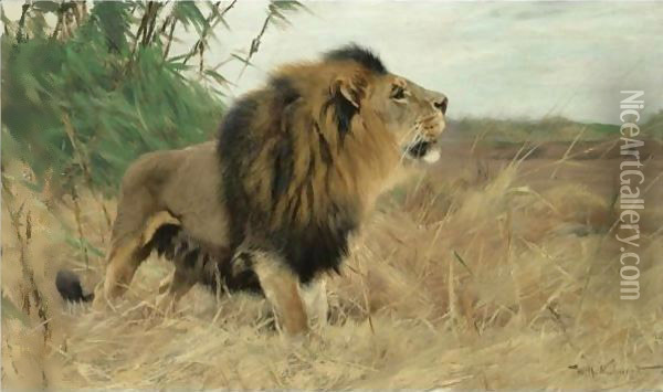 Beberlowe (Berber Lion) Oil Painting - Wilhelm Kuhnert